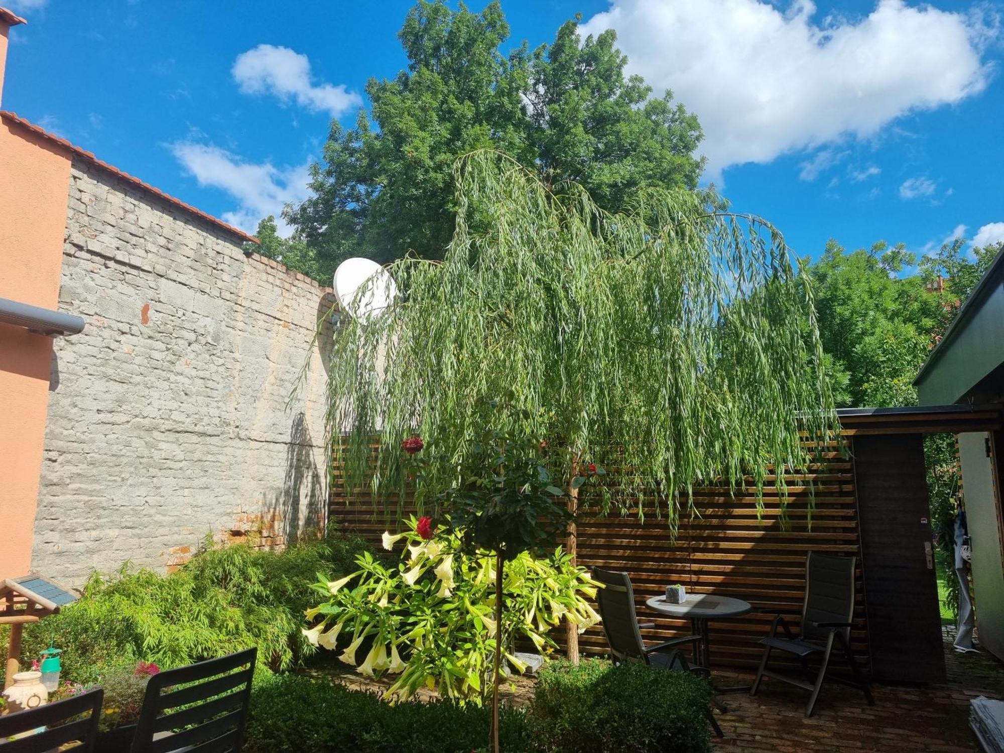 Apartments Junger-Moritz Erfurt Rum bild